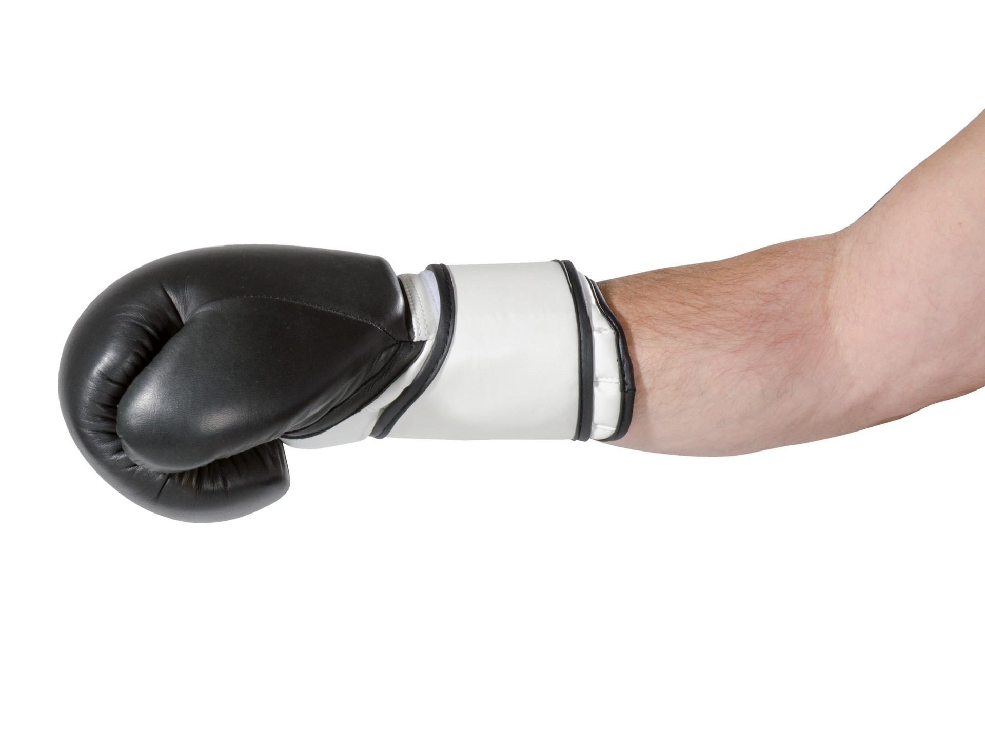 Boxhandschuhe Super Champ - WKU anerkannt