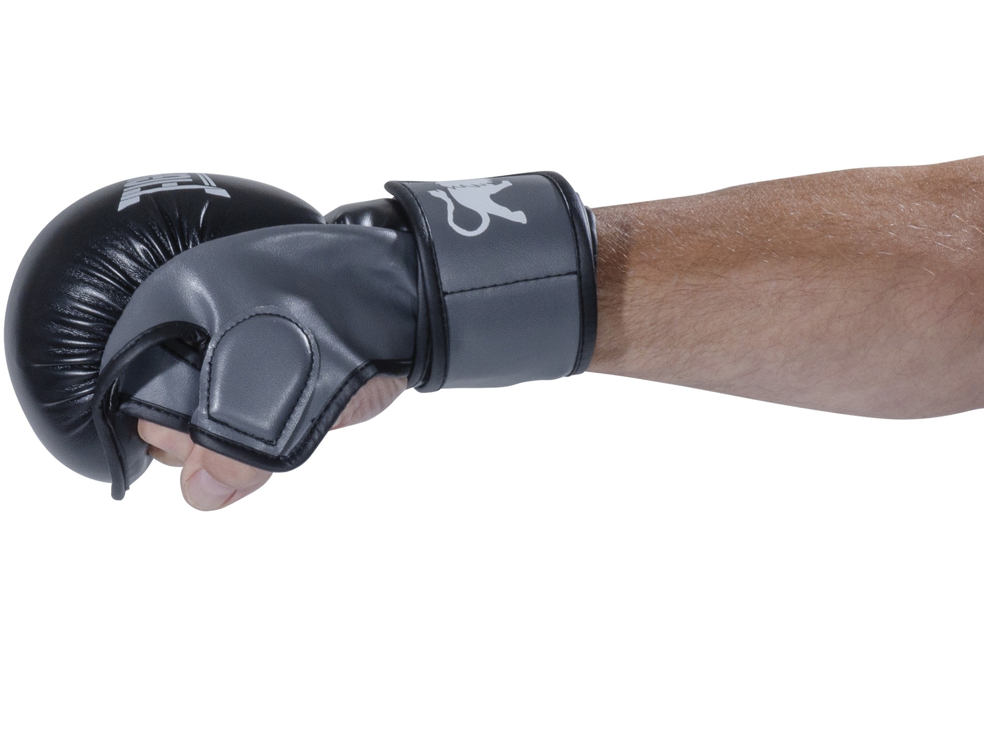 FIGHTNATURE MMA Handschuhe Amateur